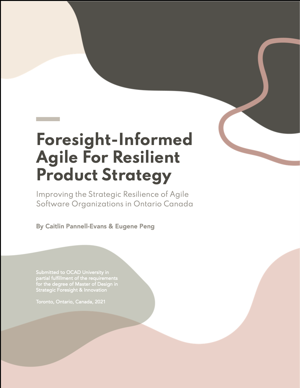 Project Report Cover